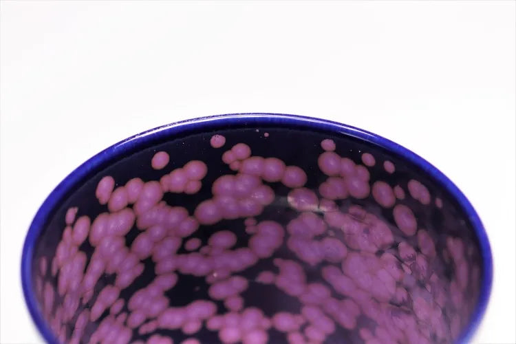 ARITA WARE  YUNOMI SET CHERRY BLOSSOM CREST / SHINEMON KLIN