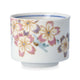 KUTANI WARE GUINOMI SAKURA /TAISHI KLIN