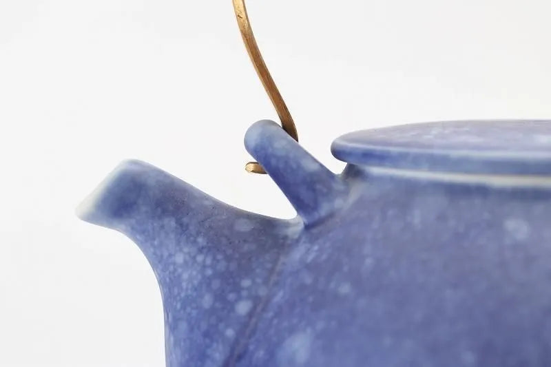 ARITA WARE TEAPOT – RISOGAMA COSMOS BLAST LARGE KYUSU POTTERY GIFT